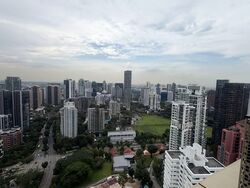 Irwell Hill Residences (D9), Apartment #601892621